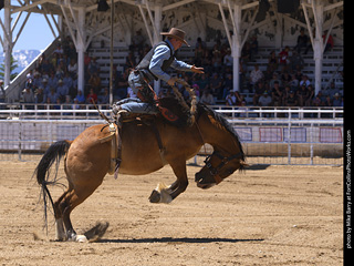 Never Summer Rodeo 2025