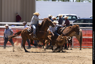 Never Summer Rodeo 2025