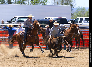 Never Summer Rodeo 2025