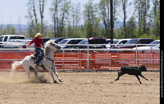 Never Summer Rodeo 2025