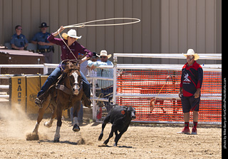 Never Summer Rodeo 2025