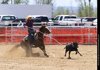 Never Summer Rodeo 2025