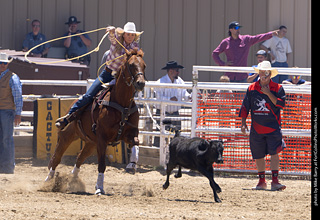 Never Summer Rodeo 2025