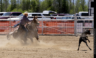Never Summer Rodeo 2025