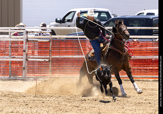 Never Summer Rodeo 2025