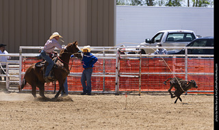 Never Summer Rodeo 2025