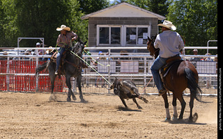 Never Summer Rodeo 2025