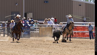 Never Summer Rodeo 2025