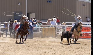 Never Summer Rodeo 2025