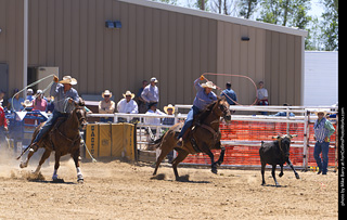 Never Summer Rodeo 2025