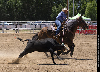 Never Summer Rodeo 2025