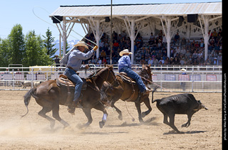 Never Summer Rodeo 2025