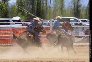 Never Summer Rodeo 2025