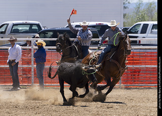 Never Summer Rodeo 2025