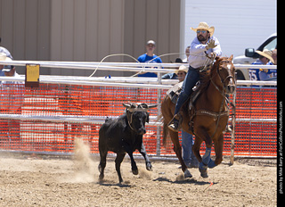 Never Summer Rodeo 2025