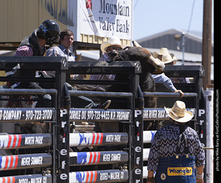 Never Summer Rodeo 2025