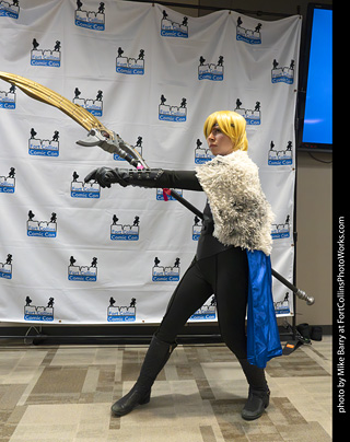 Fort Collins Comic Con 2025 - Contest