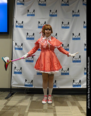 Fort Collins Comic Con 2025 - Contest