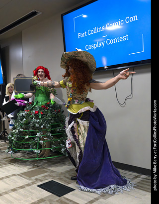 Fort Collins Comic Con 2025 - Contest