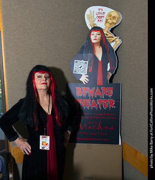 Fort Collins Comic Con 2025 - Vendors