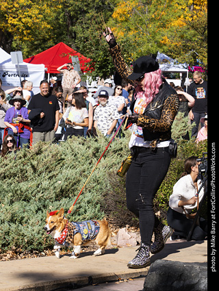 Tour de Corgi 2025 - Costume Contest