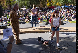 Tour de Corgi 2025 - Costume Contest