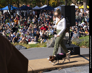 Tour de Corgi 2025 - Costume Contest