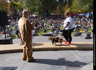 Tour de Corgi 2025 - Costume Contest