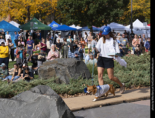 Tour de Corgi 2025 - Costume Contest