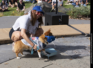 Tour de Corgi 2025 - Costume Contest