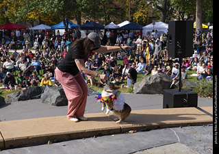 Tour de Corgi 2025 - Costume Contest