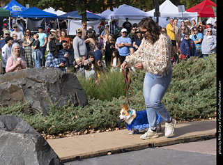 Tour de Corgi 2025 - Costume Contest