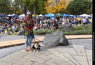 Tour de Corgi 2025 - Costume Contest