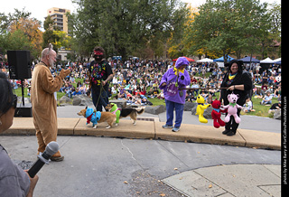Tour de Corgi 2025 - Costume Contest