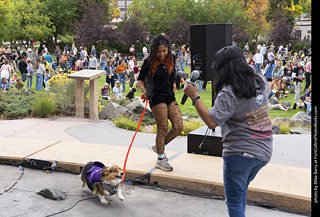 Tour de Corgi 2025 - Costume Contest
