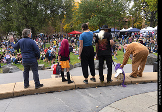 Tour de Corgi 2025 - Costume Contest