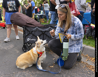 Tour de Corgi 2025 - attendees