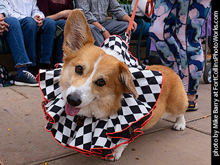 TDC 2025 The Tour #2