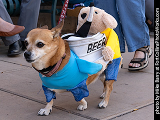 TDC 2025 The Tour #6