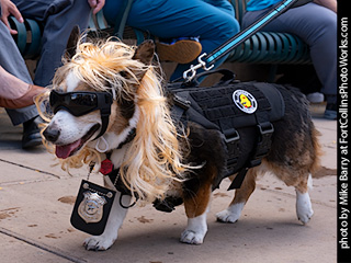 TDC 2025 The Tour #8