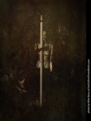 Creepy Walk in the Woods 2025