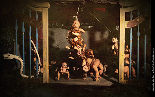 Creepy Walk in the Woods 2025