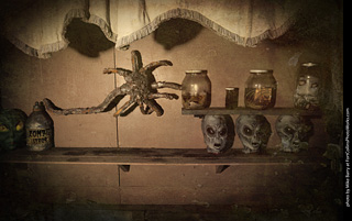 Creepy Walk in the Woods 2025