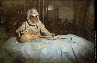 Creepy Walk in the Woods 2025