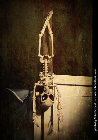 Creepy Walk in the Woods 2025