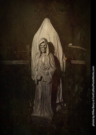 Creepy Walk in the Woods 2025