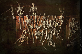 Creepy Walk in the Woods 2025