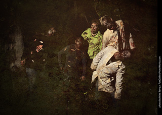 Creepy Walk in the Woods 2025