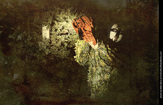 Creepy Walk in the Woods 2025