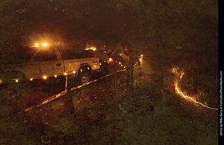 Creepy Walk in the Woods 2025